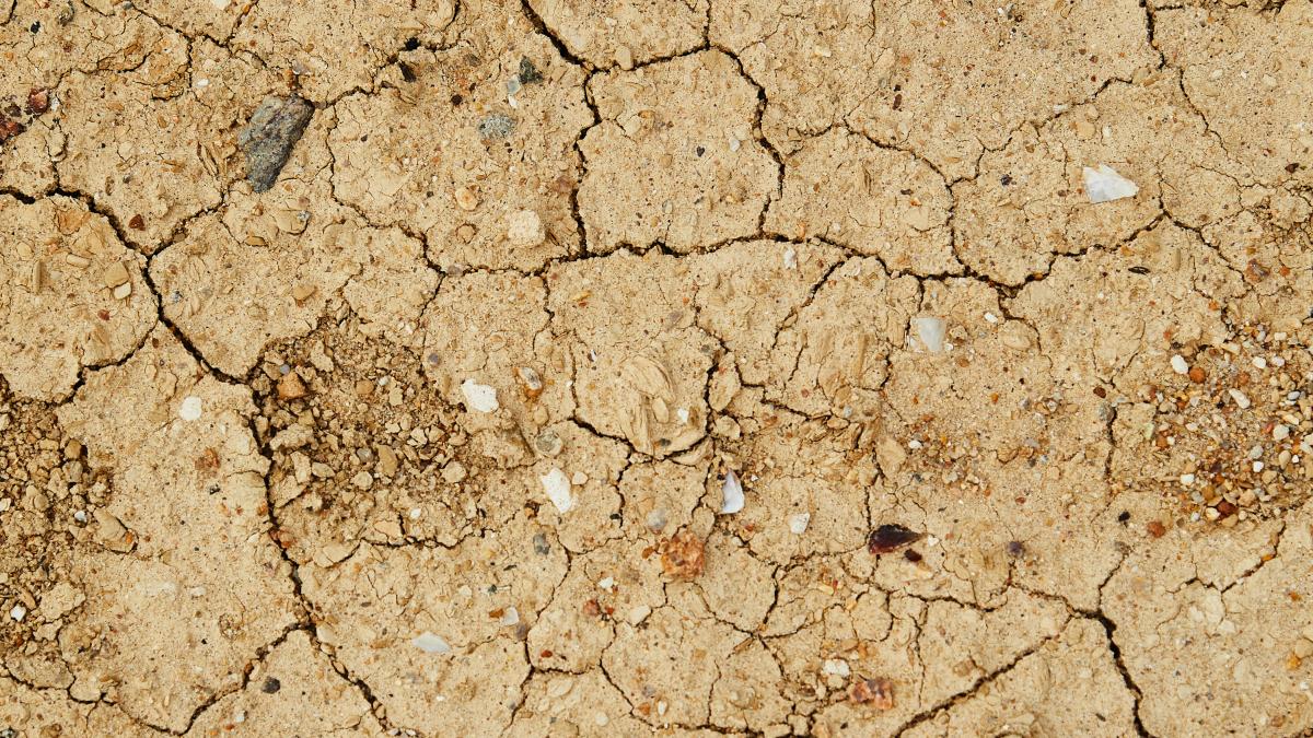 seceta_pedologica_romania_anm_pxl_87306300