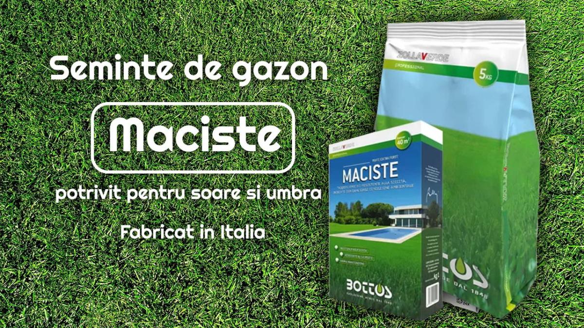 de-ce-este-important-sa-alegeti-semintele-potrivite-pentru-gazon_81254900