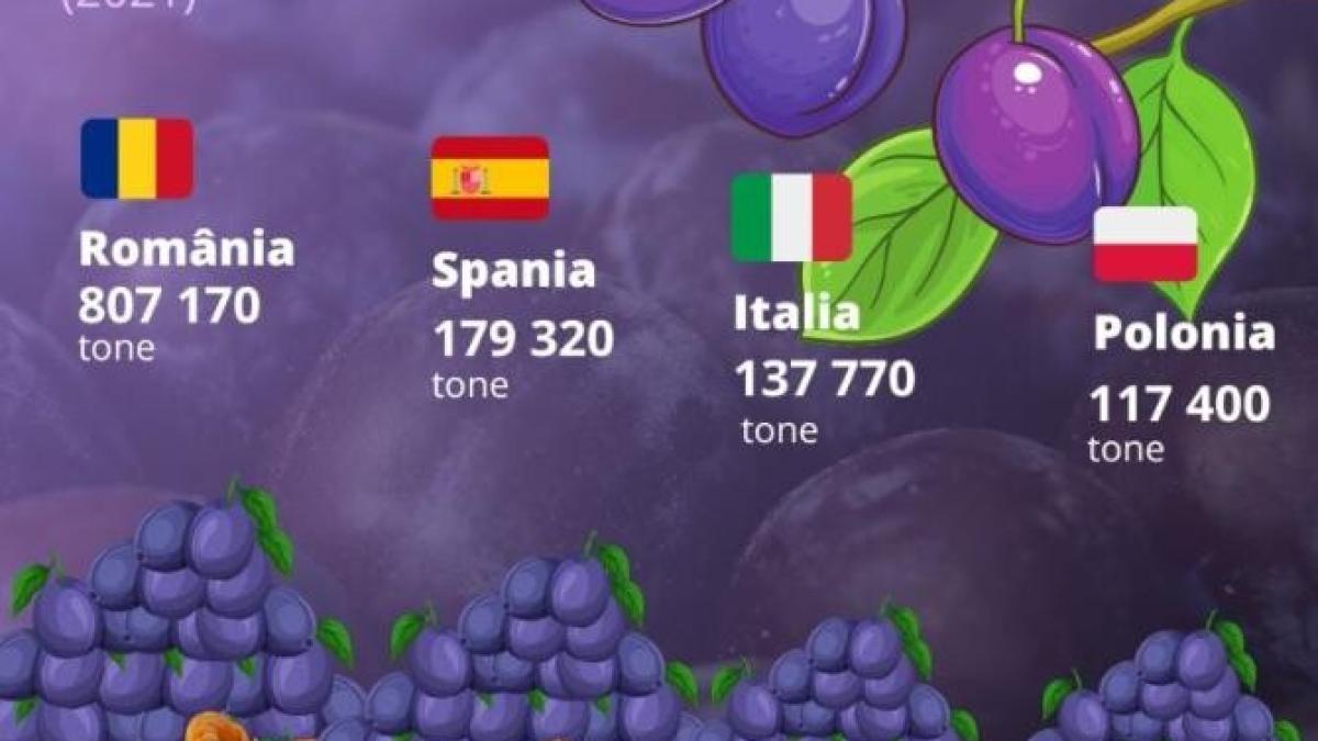 romania--cel-mai-mare-producator-de-prune-din-uniunea-europeana_63398000