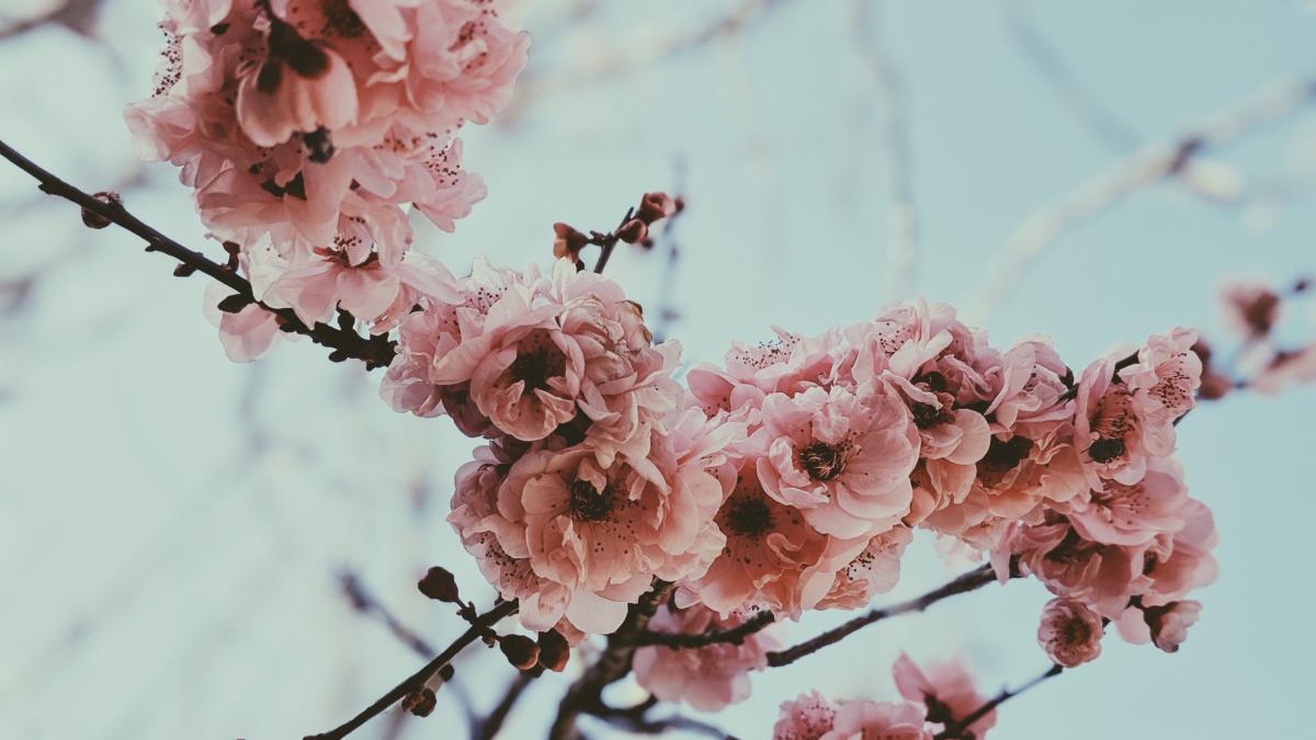 calendar-crestin-ortodox--sarbatoare-7-martie-2023_29971600