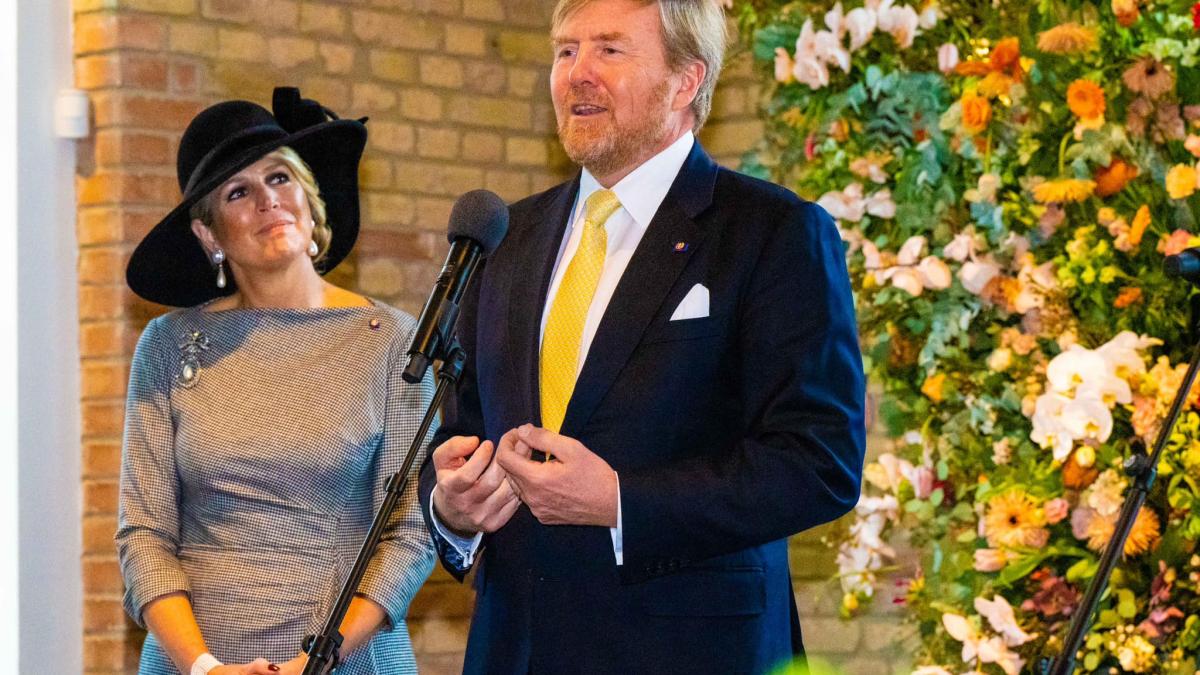 regele-tarile-de-jos-willem-alexander_27996200