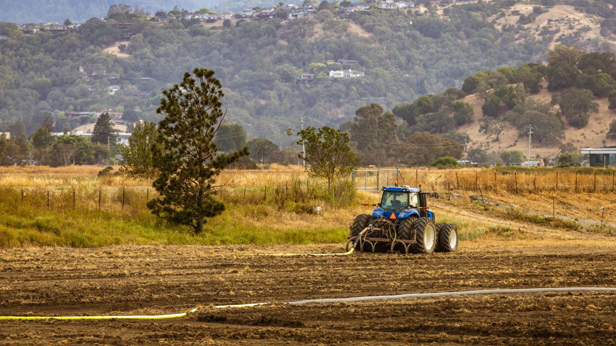 teren-agricol_50402900