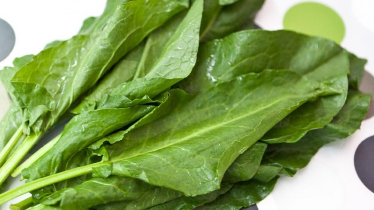 stevie_81500200_96872400