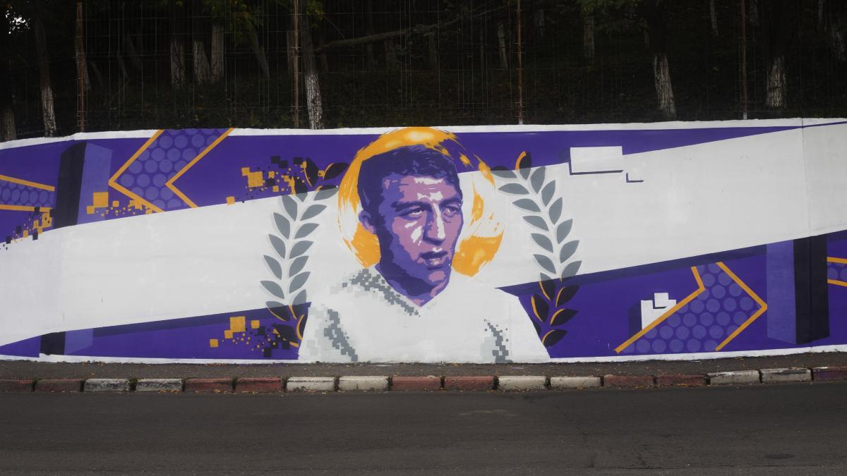 pitesti_nicolae_dobrin_mural-7_52437400