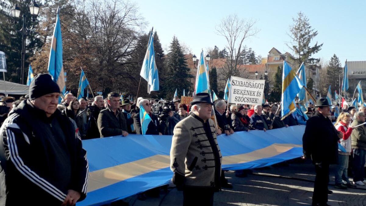 cns-si-cnmt-plangere-in-instanta-manifestatie_34591300