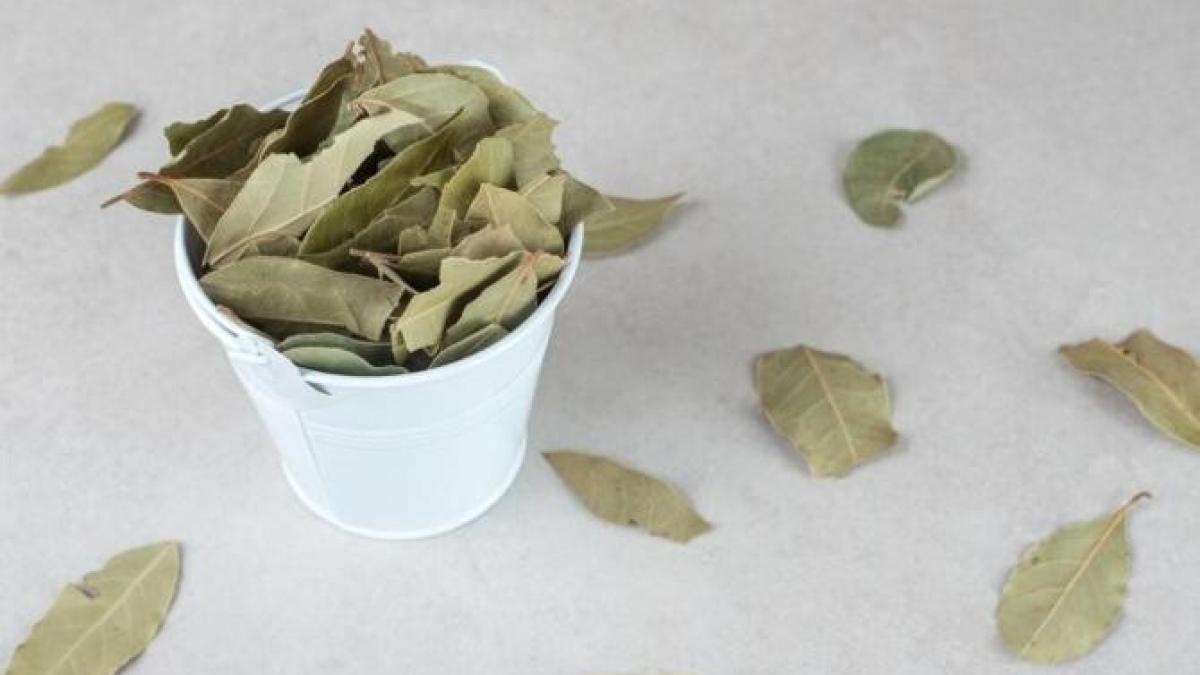 pune-o-frunza-de-dafin-sub-limba-si-vei-scapa-de-o-problema-deranjanta_79837200