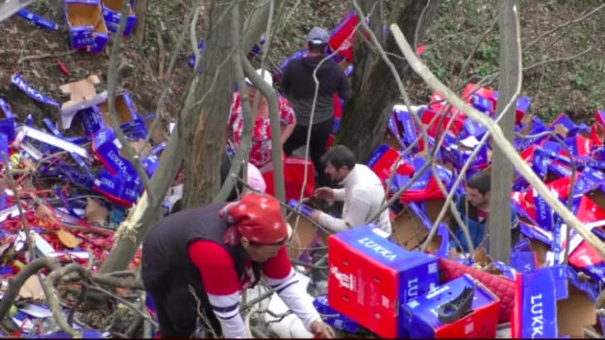 legume-tir-padure_88334300