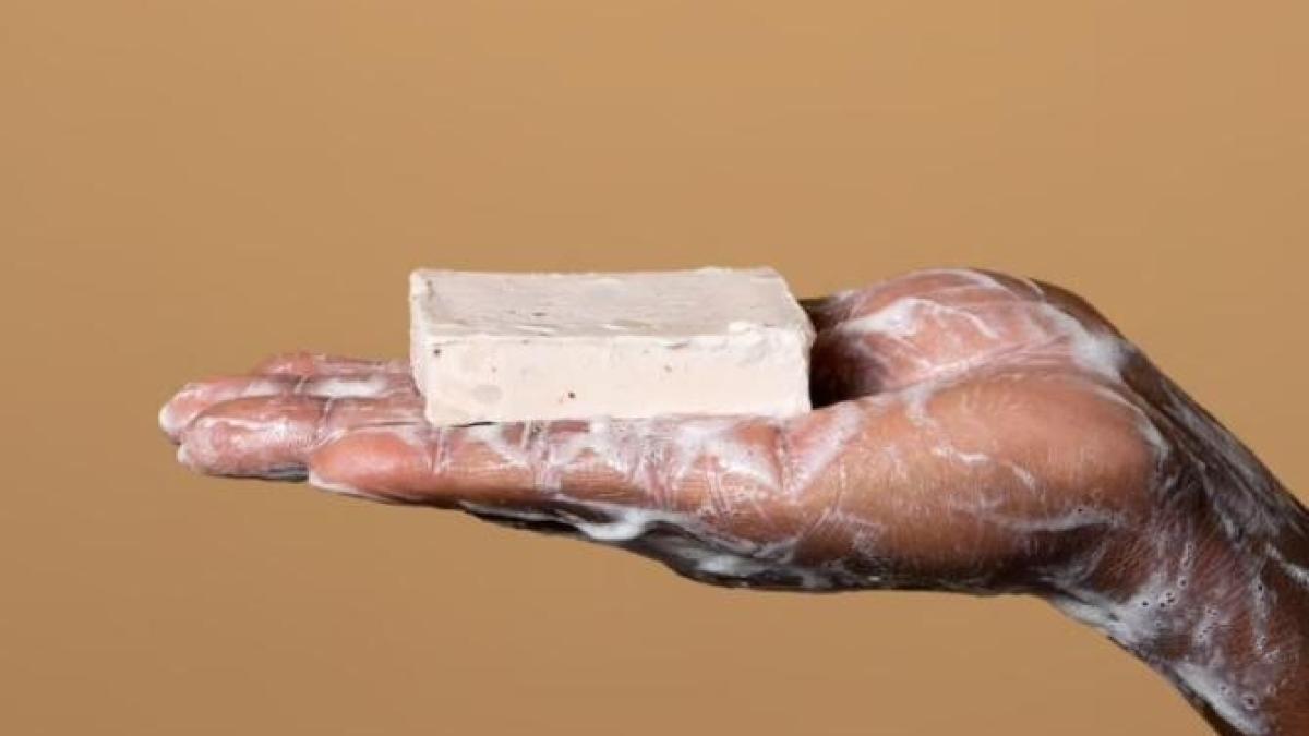 sapunul-obisnuit-face-minuni--top-10-moduri-de-a-l-folosi-in-afara-baii_92689800