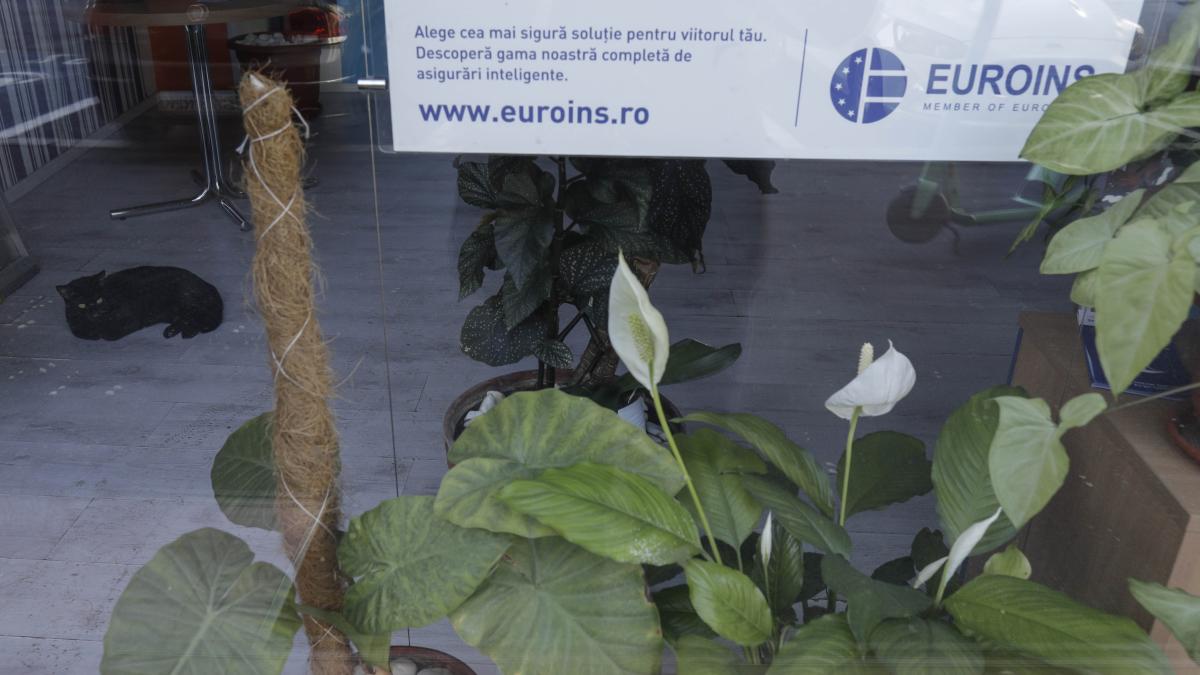 euroins_asig_06_inquam_photos_octav_ganea_35143100