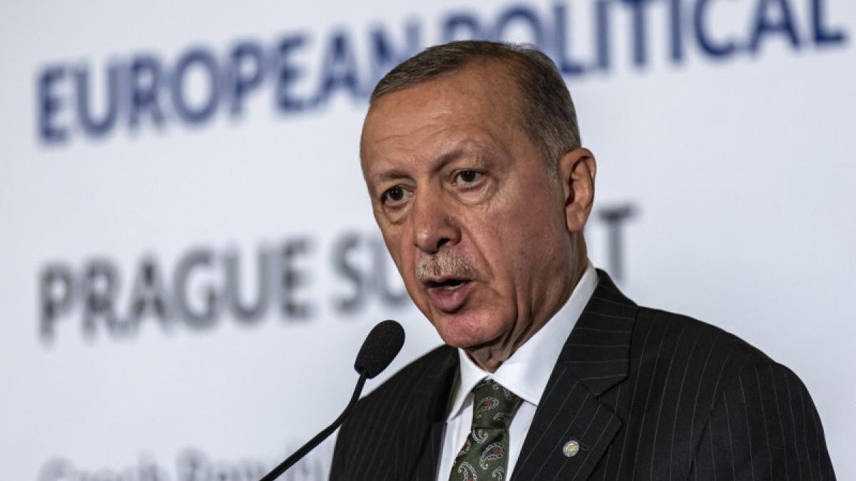 erdogan-aderare-finlanda-la-nato_29512800