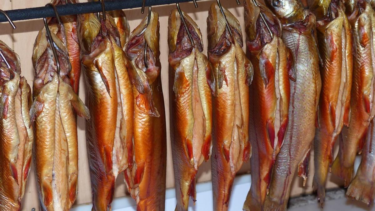 peste-delicatese-pericol-sanatate_35656100