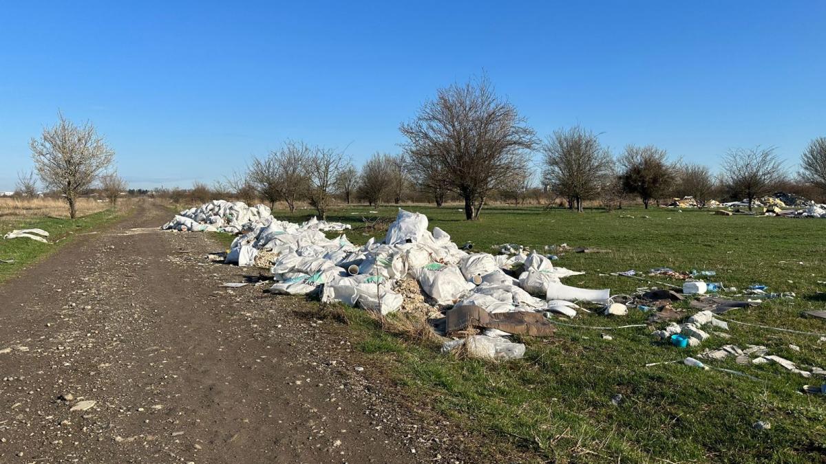 clotilde-promenada-verde-ciolacu_70406100