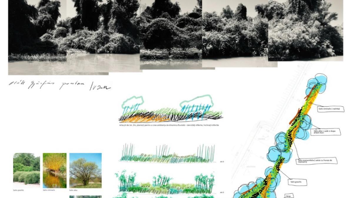 acord-de-parteneriat-pentru-realizarea-ansamblului-memorial-ivan-patzaichin--aprobat-de-consiliul-judetean-tulcea-1_11320000