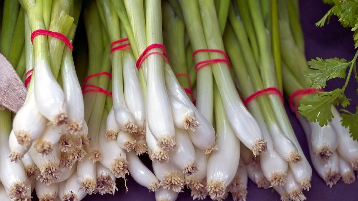 ceapa-verde-beneficii-leacuri_95082000