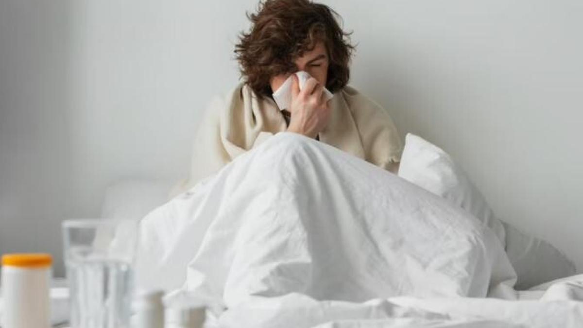 cum-sa-ti-intaresti-imunitatea---obiceiuri-zilnice-sanatoase-pentru-o-sanatate-de-fier_19342800