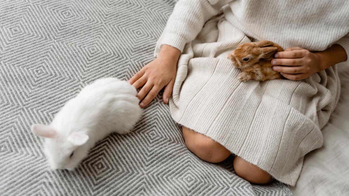 horoscop-aprilie_83202000