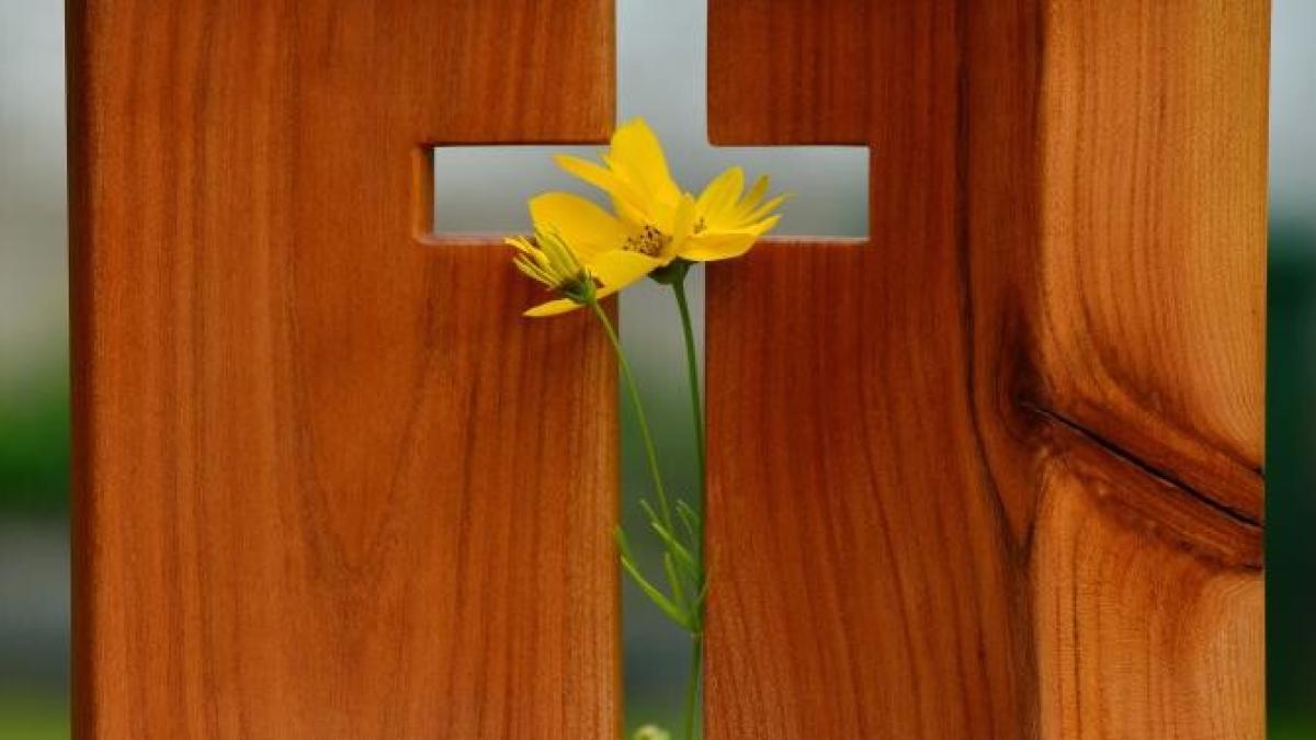 calendar-crestin-ortodox--sarbatoare-29-martie-2023_89241100