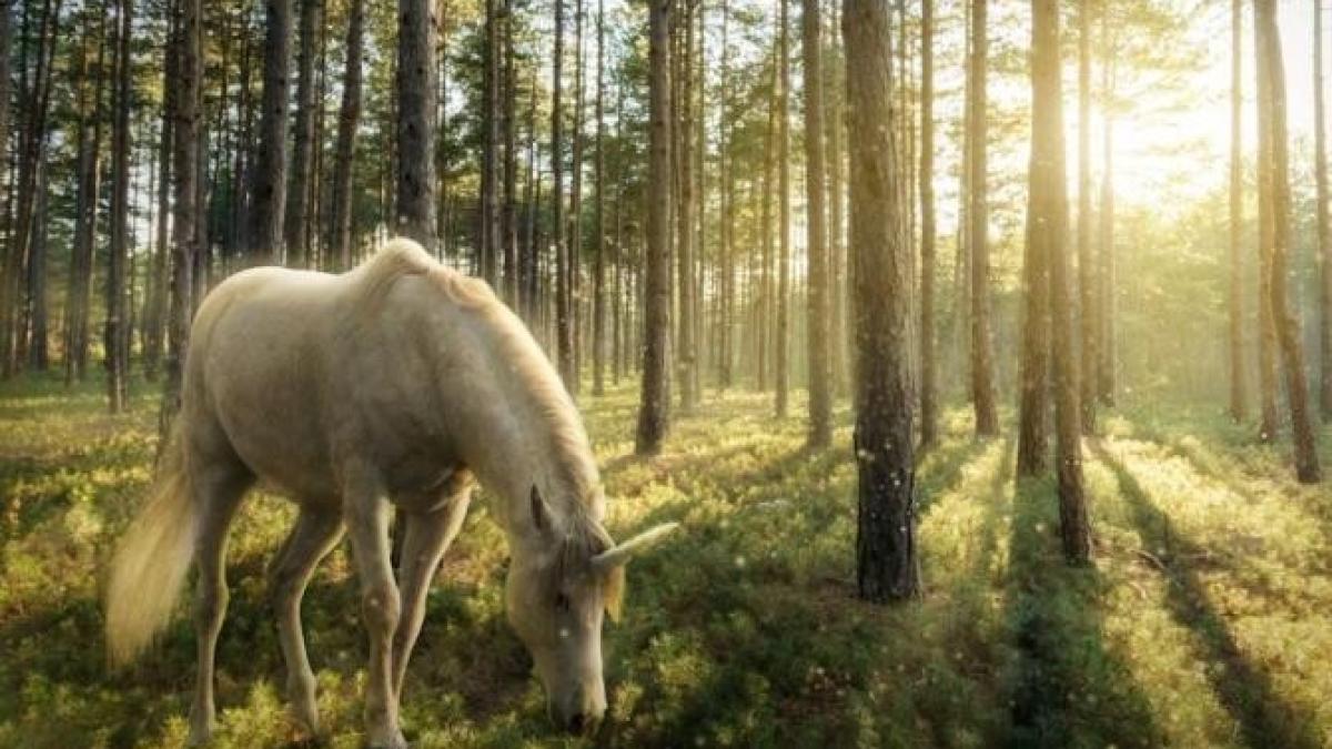 ce-creatura-mitologica-esti-in-functie-de-zodie_69575500