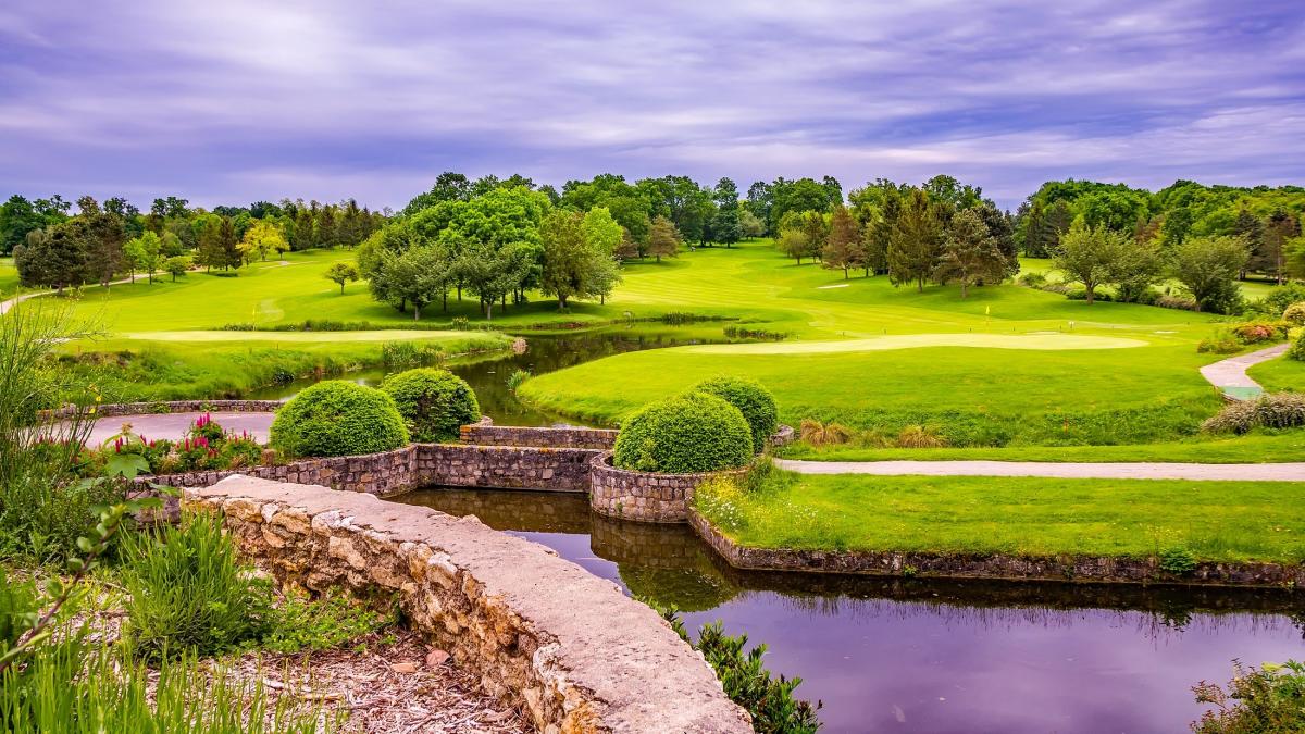 pisicina-naturala_62095200