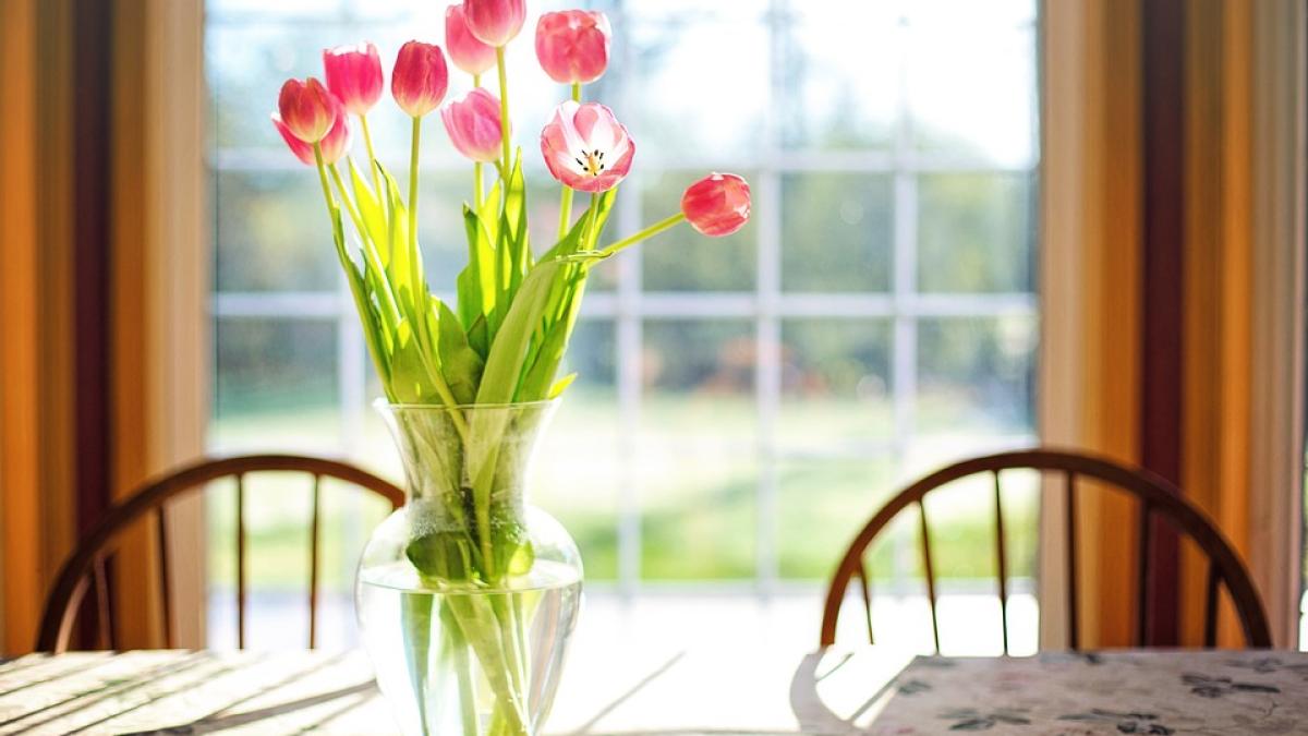 lalele-vaza-trucuri_99644600