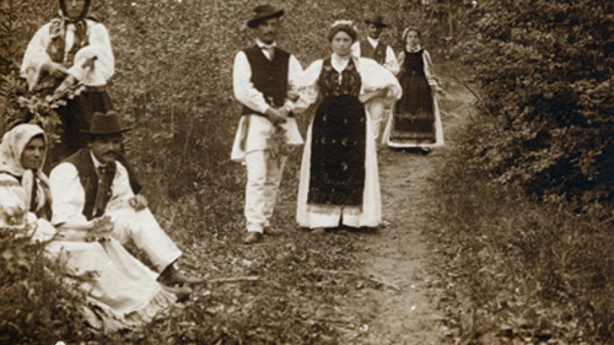 afisprc-ccprc-a7-taprc-ccprc-82rg-florii_paprc-ccprc-86trat_29650600