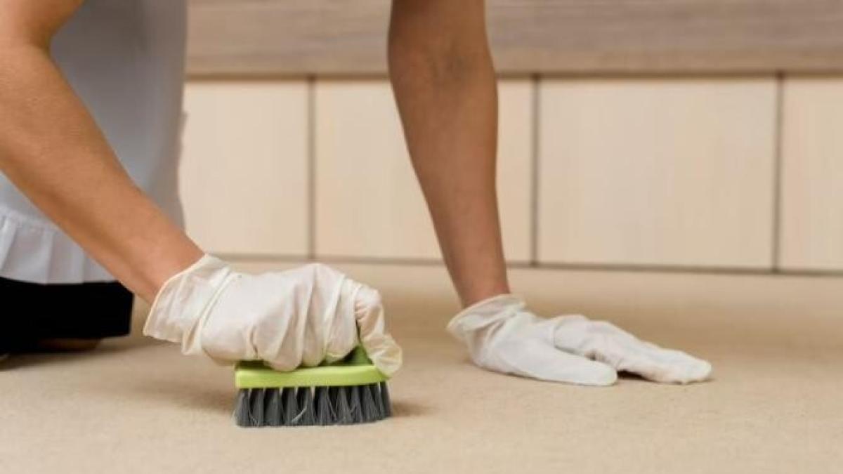 toate-petele-vor-ramane-amintire--curata-covorul-fara-sa-l-indepartezi-de-pe-podea_58561400