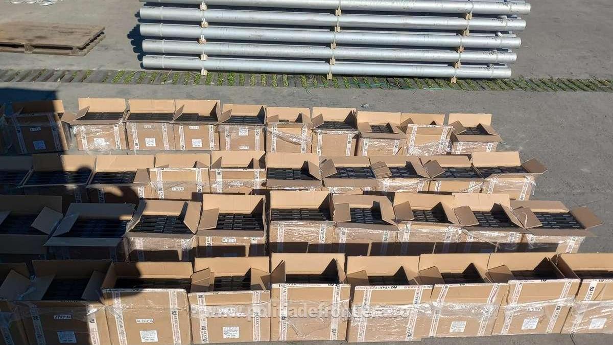 1200-de-arme-confiscate_65133400