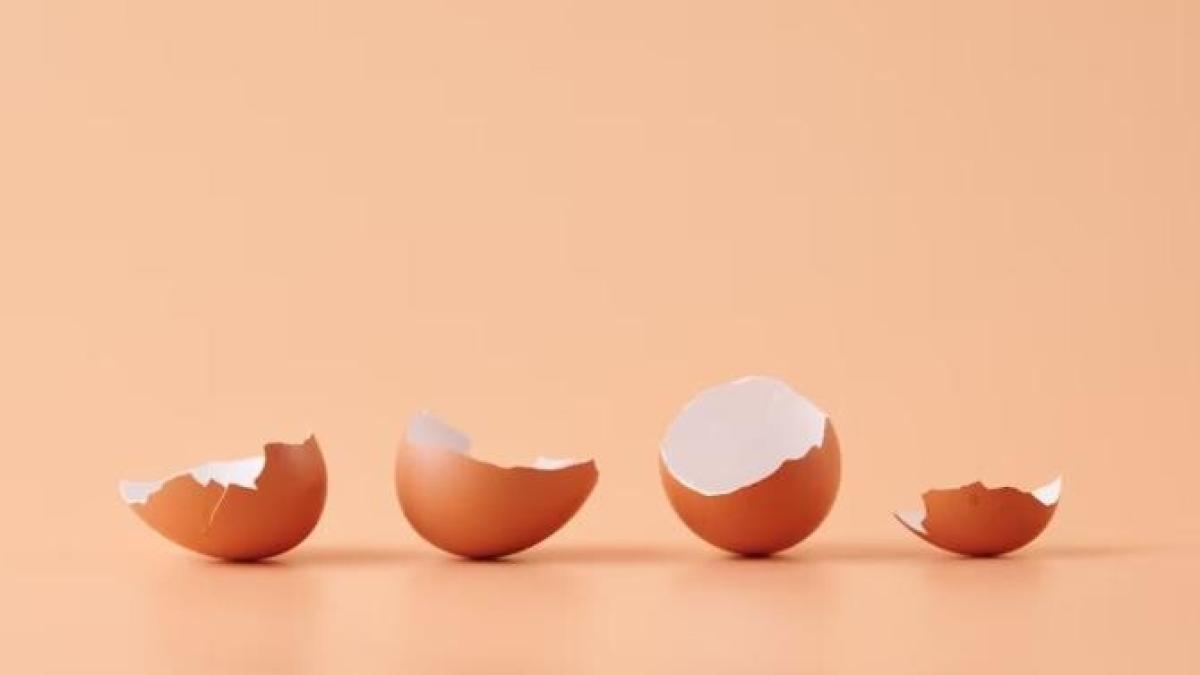 nu-arunca-cojile-de-oua--pregateste-un-produs-de-curatat-multifunctional--iata-o-reteta-eficienta_49014900