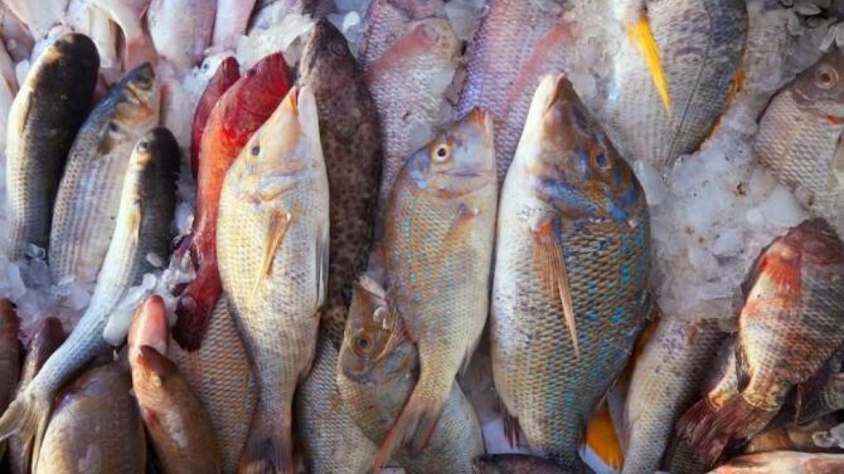 bucurestenii--invitati-la-festivalul-de-florii-cu-peste-si-scrumbii_05020100