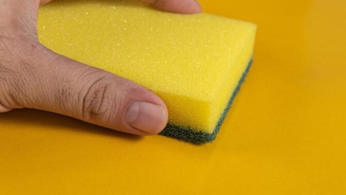 buretii-vechi-de-vase-pot-proteja-plantele-de-interior--iata-ce-trebuie-sa-faci_06847600