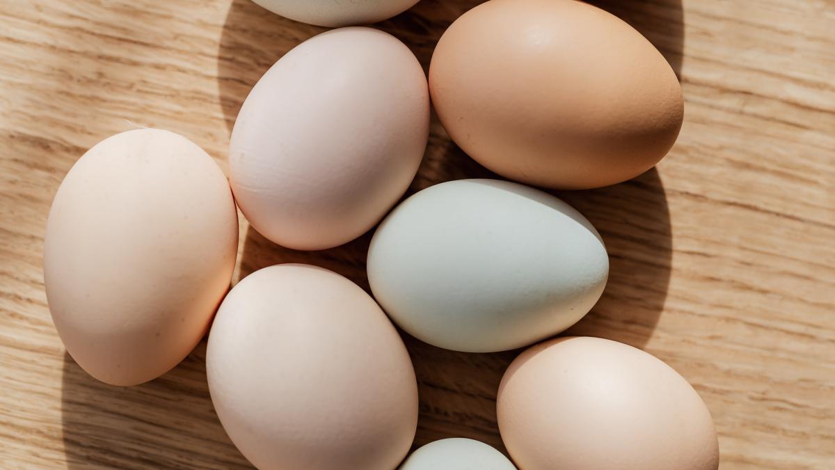 oua_fierte_pxl_12492600