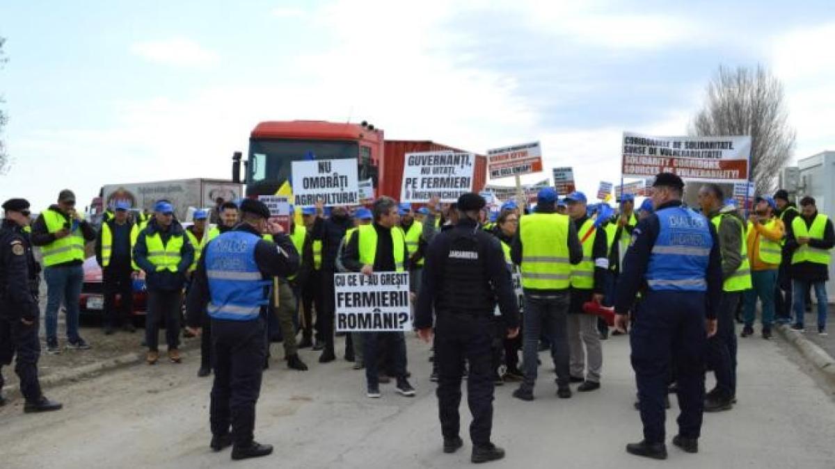 fermieri_romania_ciuca_daea_ager_66231900