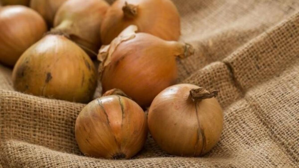 vei-avea-o-recolta-bogata-de-ceapa--daca-urmezi-trucul-gradinarilor_31575800