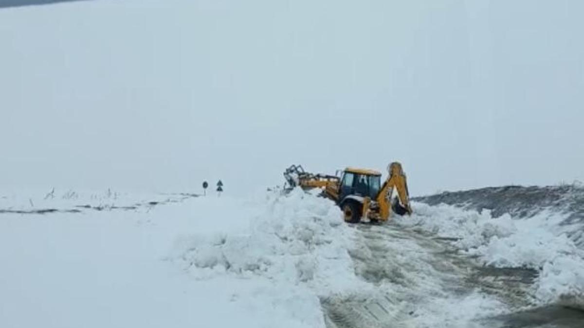 deszapezire_80125400