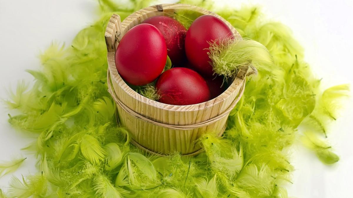 oua-carne-de-miel_10811700