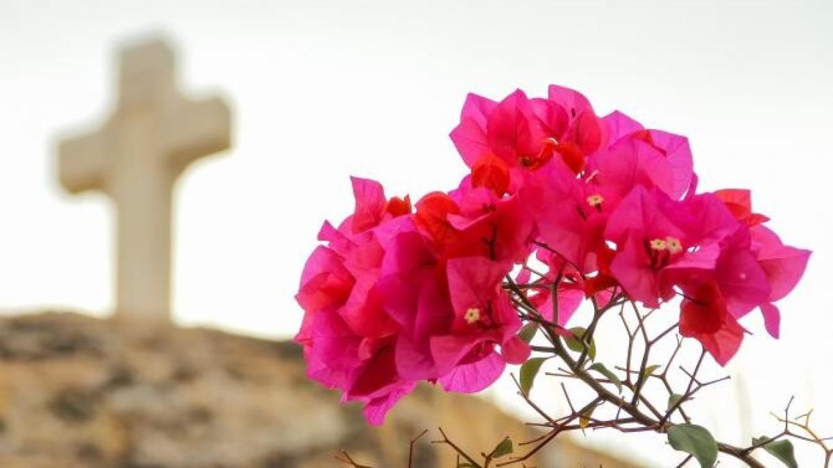 calendar-crestin-ortodox--sarbatoare-10-aprilie-2023_85530200