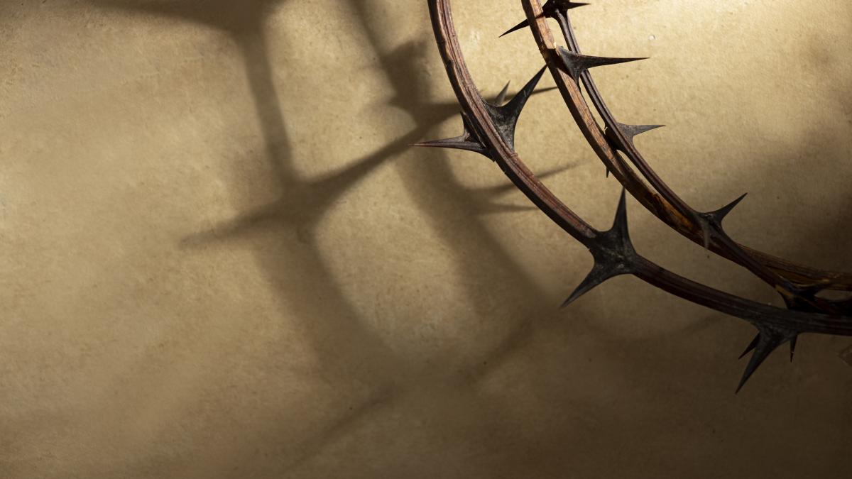 top-view-crown-thorns-with-copy-space_10079400