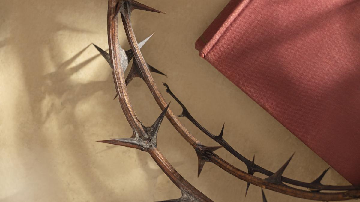 top-view-crown-thorns-book-still-life_89670900