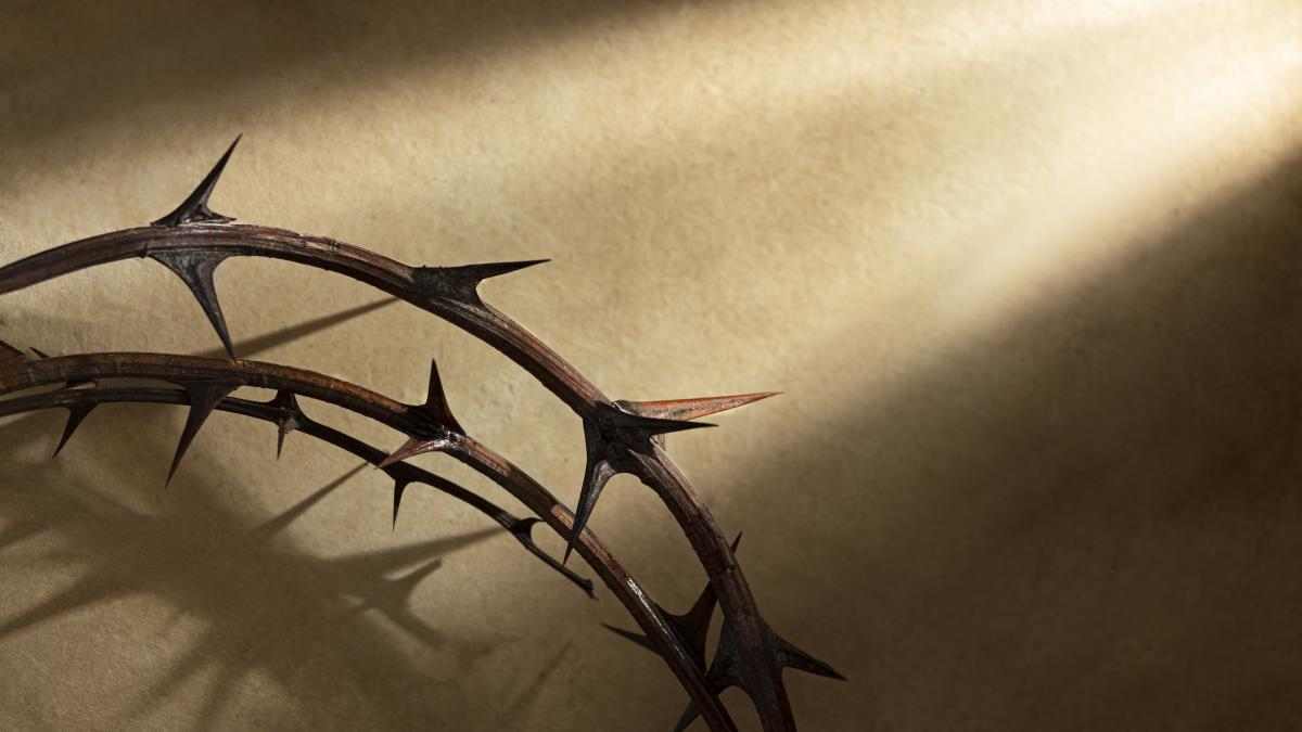 flat-lay-crown-thorns-still-life_82189900