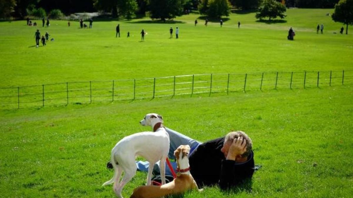 bioacustica_01773400