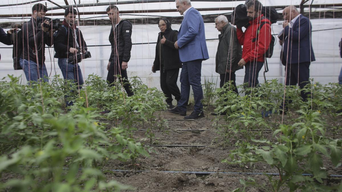 dragnea-rosii-_inquam_photos_octav_ganea_00579800