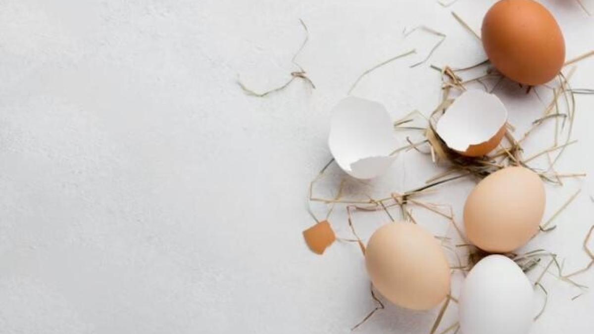 nu-arunca-cojile-de-oua--le-poti-pune-in-gradina--secretul-gradinarilor-a-fost-aflat_06254200