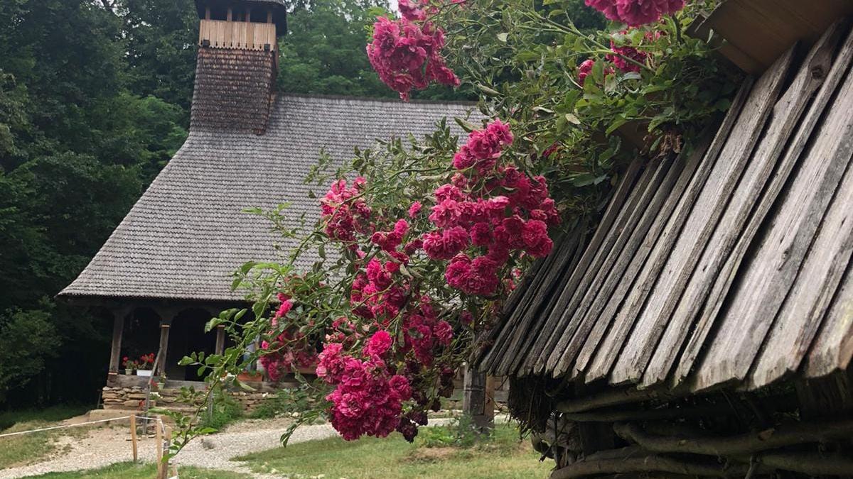 muzeu-astra_86533900