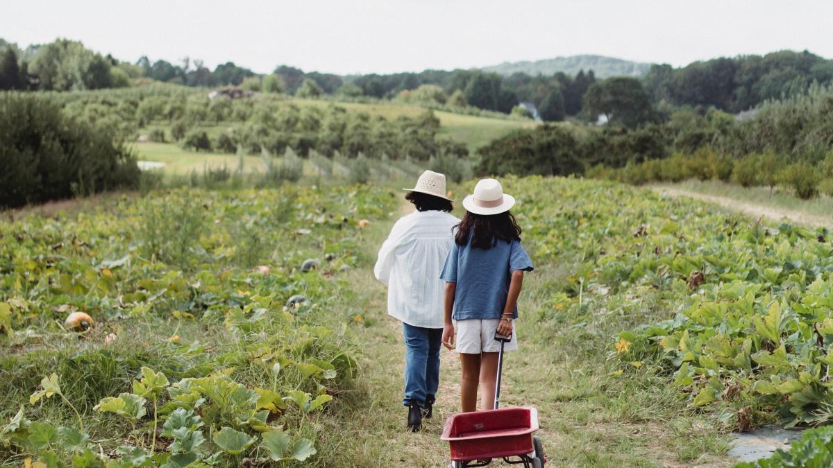 viitorul-este-plin-de-visuri--dar-prezentul-este-deja-atat-de-frumos--romanca-de-27-de-ani--agricultoare-in-italia-nu-este-un-sacrificiu-sa-ma-murdaresc-cu-pamant_22005200