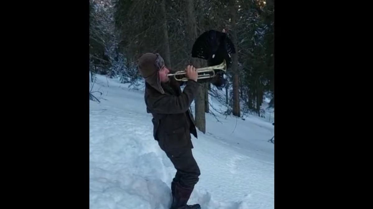 video-viral-cu-un-cocos-de-munte_98108800