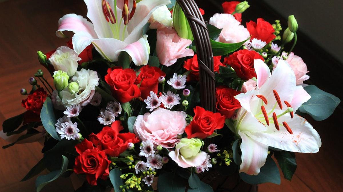 floare-paste-crini-pisici_50042900