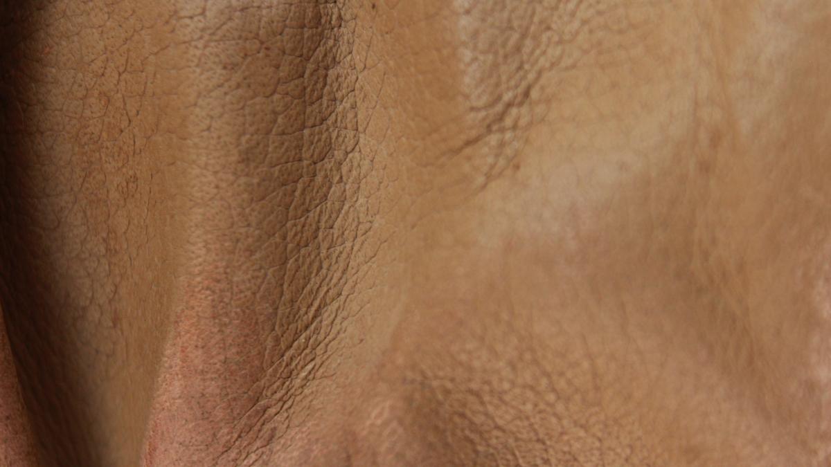 piele-transparenta_12382900