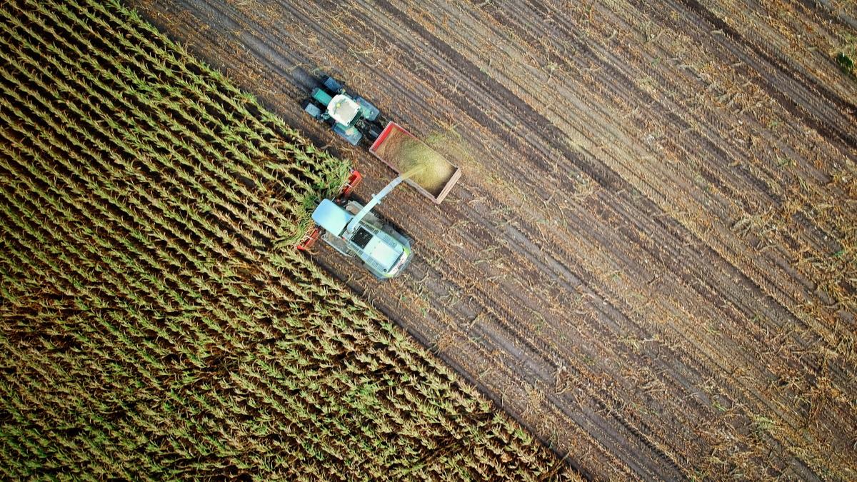 slovacia-suspenda-importul-de-cereale-din-ucraina_92750600