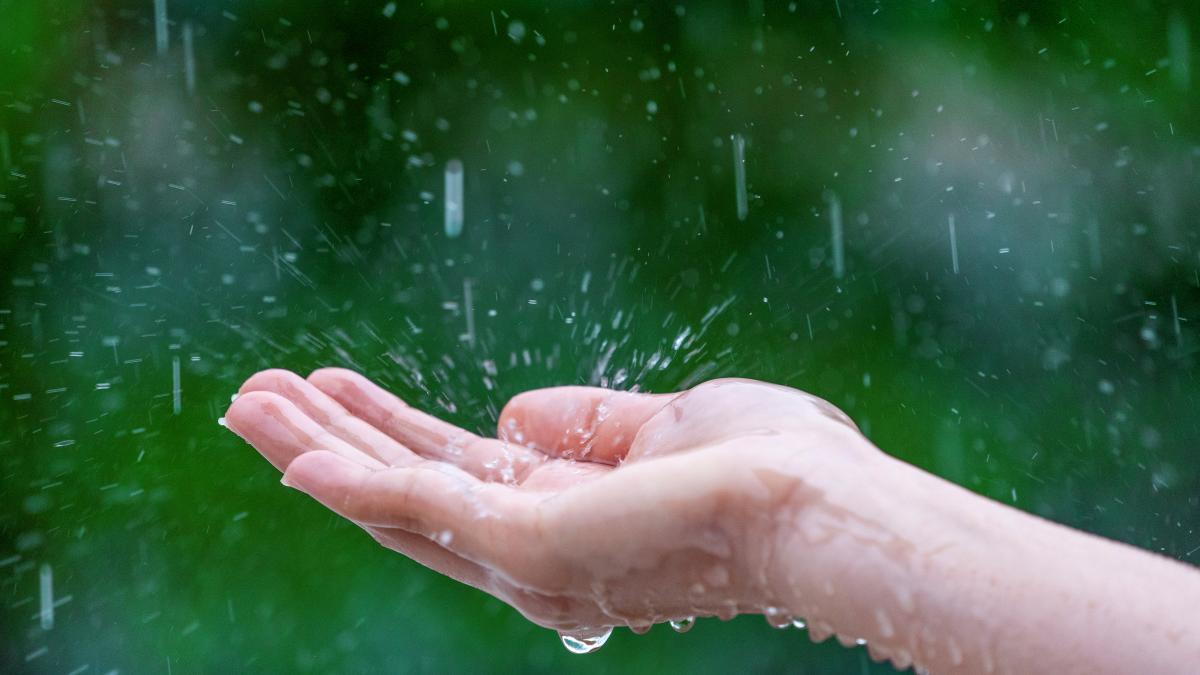 close-up-wet-female-hands-rain_67514900