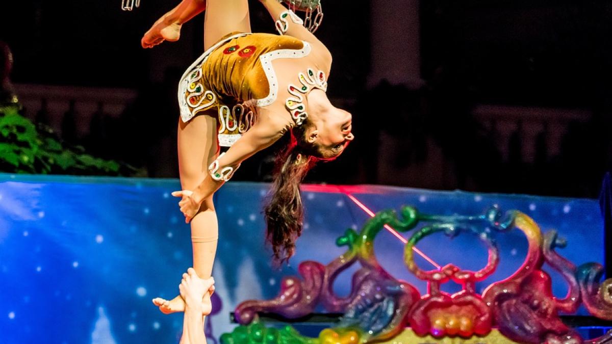 acrobat-moarta-china-incident_95877300